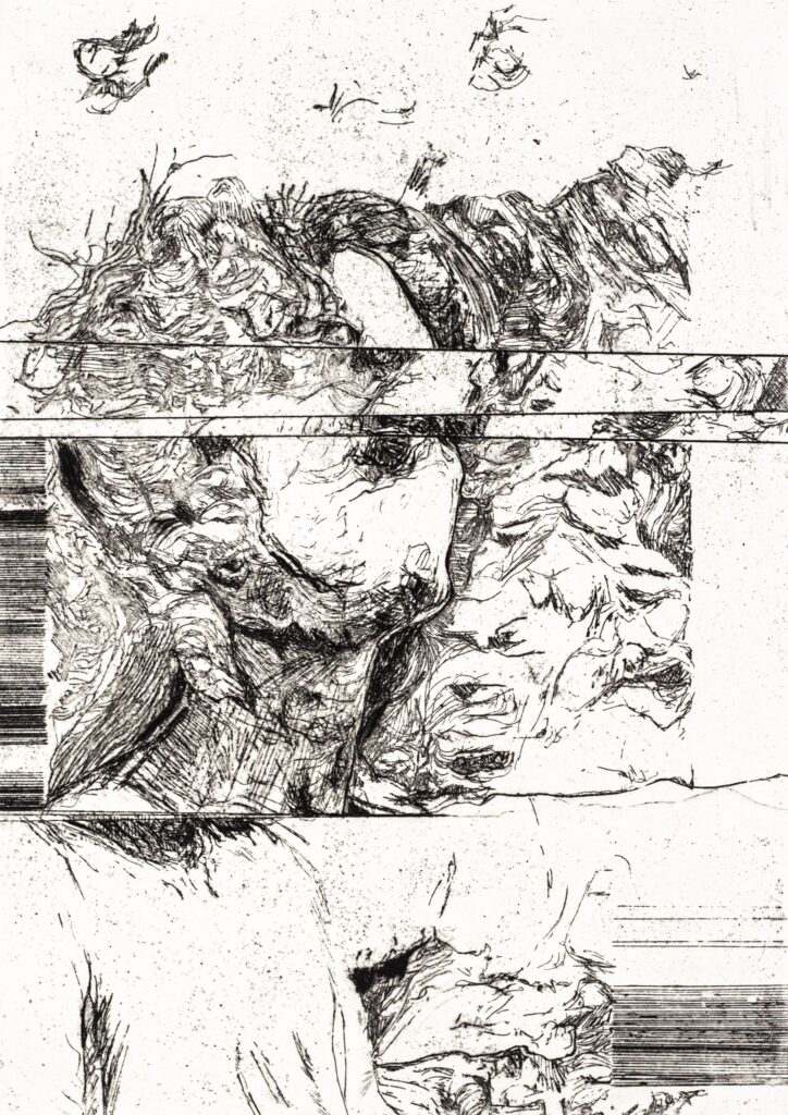 Kay-Leigh Fisher, Distorted Self Portrait 1 - 4, 2019, etching, 252 x 350 mm