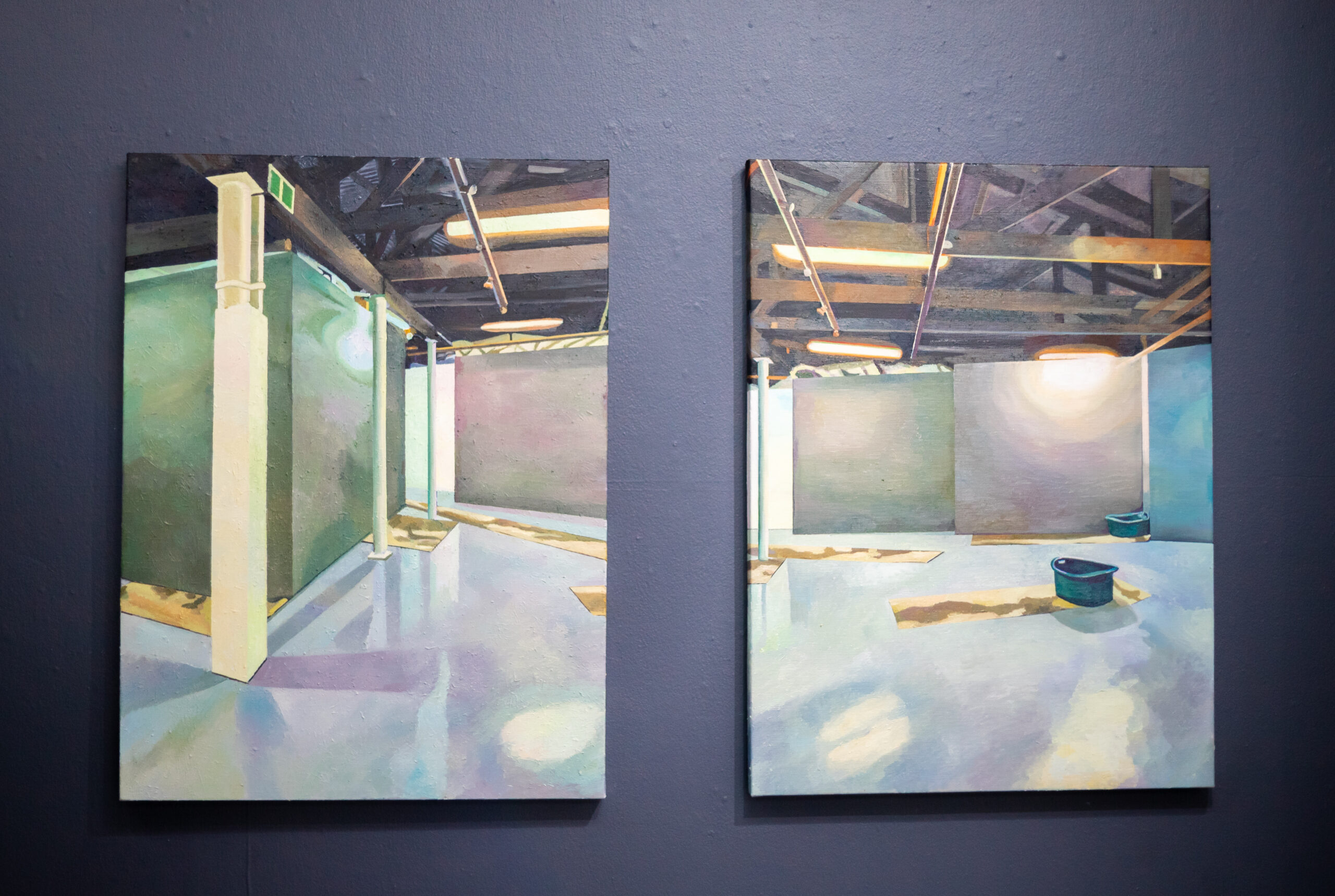 Maungo Installation Images 5